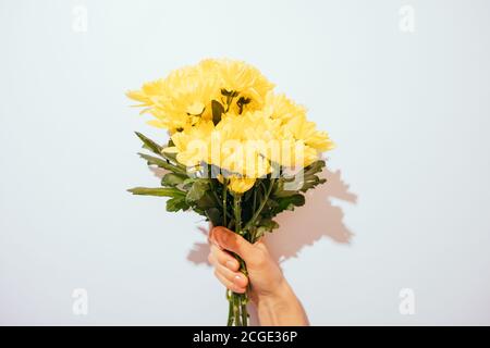 Bouquet of yellow flowers in a female hand on a white background Stock Photo
