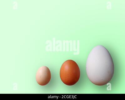 Eggs of different size on color green background. High quality photos. Chicken, quail and ostrich set eggs. Colored eggs for easter. Stock Photo