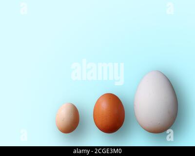 Eggs of different size on color blue background. High quality photos. Chicken, quail and ostrich set eggs. Colored eggs for easter. Stock Photo
