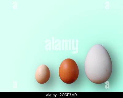 Eggs of different size on color azure background. High quality photos. Chicken, quail and ostrich set eggs. Colored eggs for easter. Stock Photo