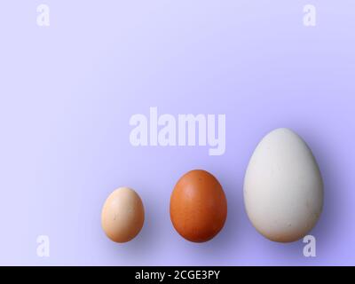 Eggs of different size on color violet background. High quality photos. Chicken, quail and ostrich set eggs. Colored eggs for easter. Stock Photo