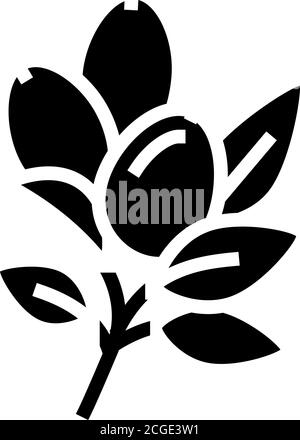 rosehip aromatherapy glyph icon vector isolated illustration Stock Vector