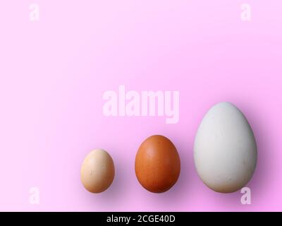 Eggs of different size on color pink background. High quality photos. Chicken, quail and ostrich set eggs. Colored eggs for easter. Stock Photo