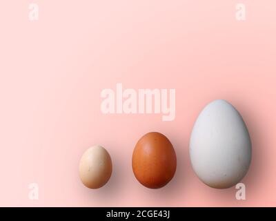 Eggs of different size on color red background. High quality photos. Chicken, quail and ostrich set eggs. Colored eggs for easter. Stock Photo