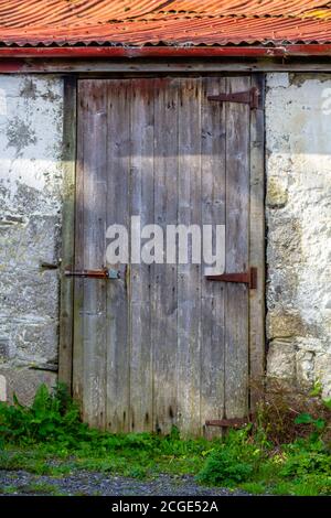 Rustic old wooden shed door with rusty metal lock and hinges and red corrugated metal roof. Aged weathered vintage outbuilding wall and overgrown weed Stock Photo