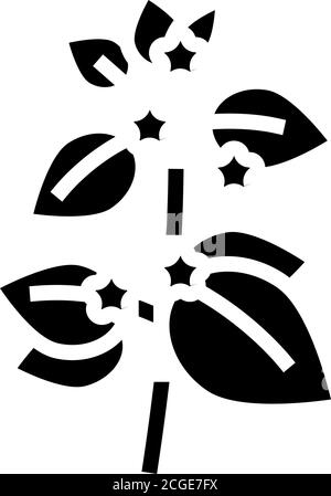 melissa herbal aromatherapy glyph icon vector isolated illustration Stock Vector