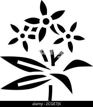 neroli flowers aromatherapy glyph icon vector isolated illustration Stock Vector