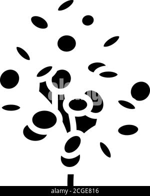 eucalyptus aromatherapy glyph icon vector isolated illustration Stock Vector