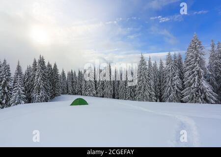 In the forest on the lawn green touristic tent stands with wide path to it. Amazing landscape on the cold winter day. Location place the Carpathian Mo Stock Photo