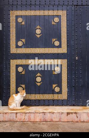An orange and white cat sits in front of a detailed, patterned wall in Essaoiura, Morocco Stock Photo