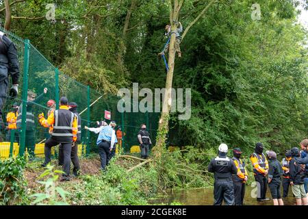 Denham, Buckinghamshire, UK. 8th September, 2020. A young female tree protector scaled a tree this morning outside the fence of the HS2 compound that is, however, earmarked to be cut down by HS2. She was being closely watched by Enforcement Agents from the National Eviction Team, Police Liasion Officers and HS2 Security guards. The controversial HS2 High Speed Rail link is set to damage or destroy 108 ancient woodlands. Credit: Maureen McLean/Alamy Stock Photo