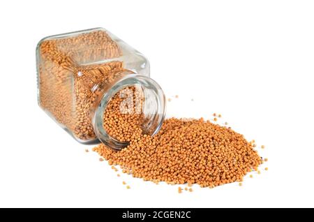 Spice, mustard. Mustard seeds, in a jar for spices on a white background. Isolated, closeup. Stock Photo