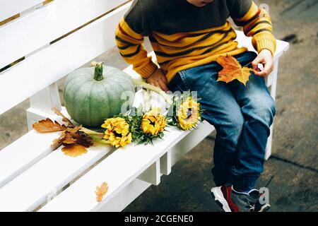 Cropped image of a little boy sitting on white bench with Good autumn harvest for Thanksgiving day. Green pumpkin, autumn oak leaves and sunflowers on white bench in white background. Space for test. Stock Photo