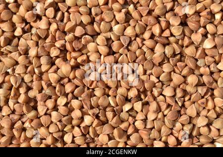Grains of raw buckwheat as a background texture. Close-up, top view Stock Photo