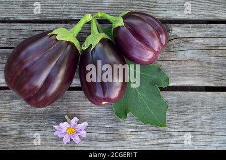 Three eggplants on a wooden background. Close-up, top view Stock Photo