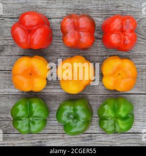 Multi-colored bell peppers on a rustic wooden background. Close-up, top view Stock Photo
