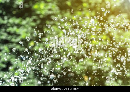 Flying water drops on green background. Shallow focus. Clean, fresh concept. Stock Photo