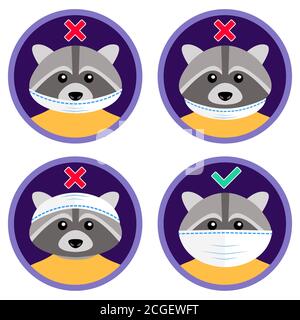 The cute raccoon shows how to wear face mask properly. Wrong and right ways to use medical protective mask. Funny cartoon visual instruction for kids Stock Vector