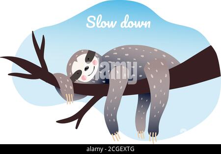 Cute lazy sloth sleeping on a branch of the tropical tree.  Stock Vector