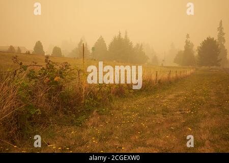 View of country roadside in Oregon with smokes from wildfires in the distance. Stock Photo