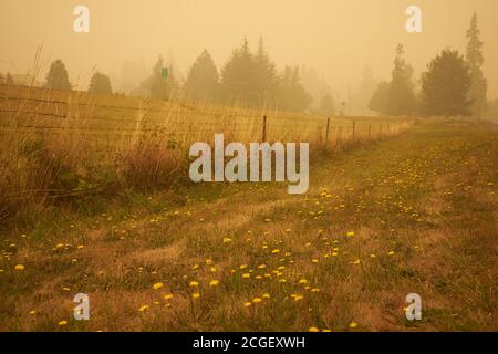 View of country roadside in Oregon with smokes from wildfires in the distance. Stock Photo