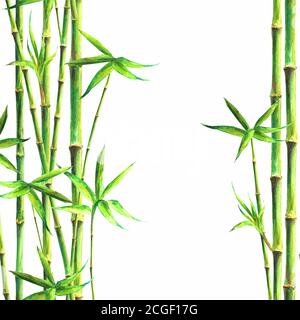 Bamboo spa background. Watercolor hand drawn green botanical illustration with space for text. Watercolour bamboos plants isolated on white square bac Stock Vector