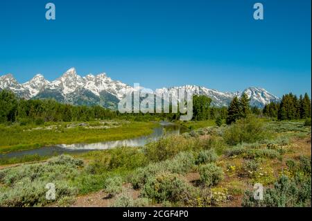View of the Schwabacher Landing with the Grand Teton Mountains, a boat landing located a few miles south of Snake River Overlook, along the east shore Stock Photo