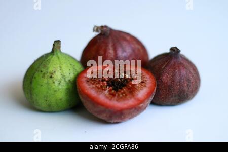 Cluster fig tree or Indian fig tree  on white background. Stock Photo