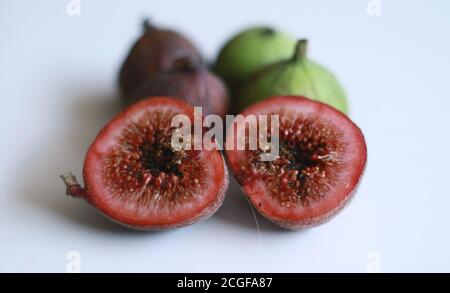 Cluster fig tree or Indian fig tree  on white background. Stock Photo