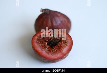 Cluster fig tree or Indian fig tree  on white background. Stock Photo