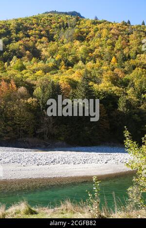 Sunlit whitewater of mountain river with yellow trees Stock Photo