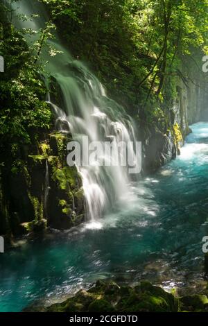 Kikuchi Gorge, early morning, Kumamoto Prefecture, Japan Stock Photo - Alamy