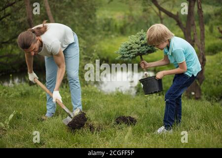 Fair-haired little daddys helper, son, kid, digging a whole together with father, planting fir-tree in their garden on beautiful autumn day. Stock Photo