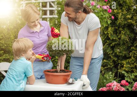 Happy family chilling in their country house in summer sunny day, mother trimming spruce tree as bonsai with scissors and bright garden gloves on hand Stock Photo
