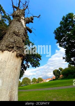 Watling Park, Burnt Oak, London, United Kingdom Stock Photo