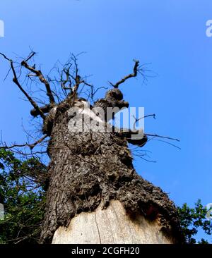 Watling Park, Burnt Oak, London, United Kingdom Stock Photo