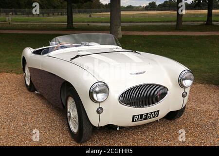 Austin-Healey 100S (1954), Car Club Displays, Concours of Elegance 2020, Hampton Court Palace, London, UK, Europe Stock Photo