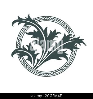 Celtic design. Thistle leaves and celtic pattern. Scottish Thistle Stock Vector