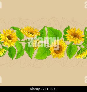 sunflower vector pattern Stock Vector