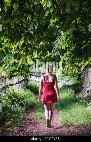 A young woman walking in a red dress along a deserted country path covered overhead by hanging trees and leaves with patches of sunlight breaking throiugh the canopy. Stock Photo