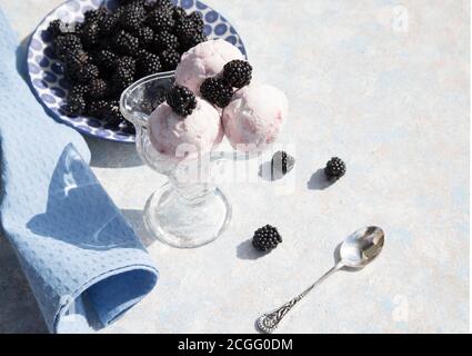 Cream bowl with ice cream and blackberries on a light background. Horizontal orientation. Place for a copy space Stock Photo