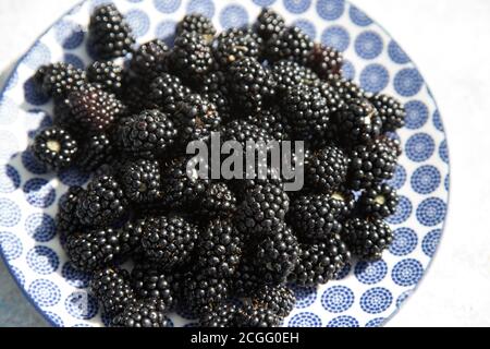 Blackberries on a light plate. Fruit background.Horizontal orientation.Flat lay Stock Photo