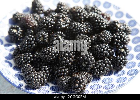 Blackberries on a light plate. Fruit background.Horizontal orientation. Close up Stock Photo