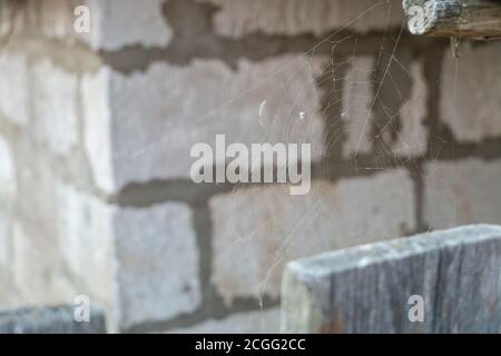 Cobweb on brick wall background. Can be used as a background. Stock Photo