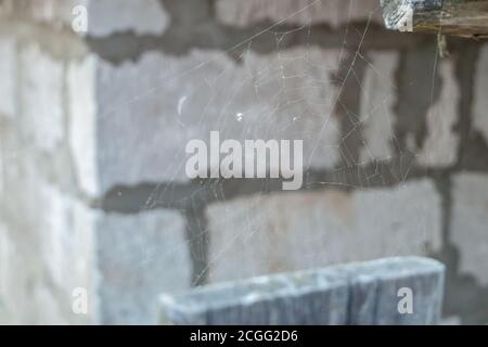 Cobweb on brick wall background. Can be used as a background. Stock Photo