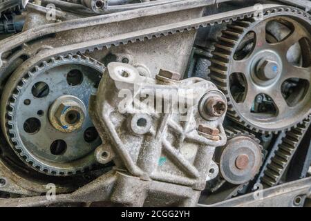 Timing chain on a gears from a car engine. Stock Photo