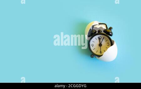 Time in the egg shell, watch concept Stock Photo