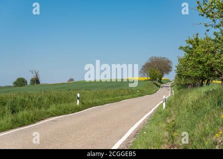 Country road runs through agricultural landscape, Walzbachtal, Kraichgau, Baden-Wurttemberg, Germany, Europe Stock Photo