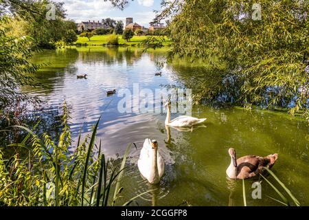 Maisemore Court and St Giles church viewed across the lake in the Severn Vale village of Maisemore, Gloucestershire UK
