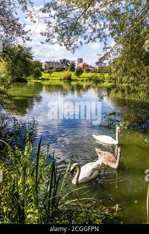 Maisemore Court and St Giles church viewed across the lake in the Severn Vale village of Maisemore, Gloucestershire UK